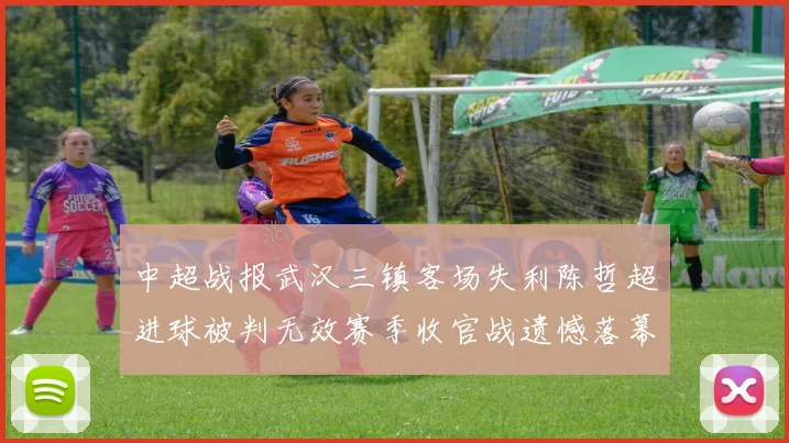 中超战报武汉三镇客场失利陈哲超进球被判无效赛季收官战遗憾落幕