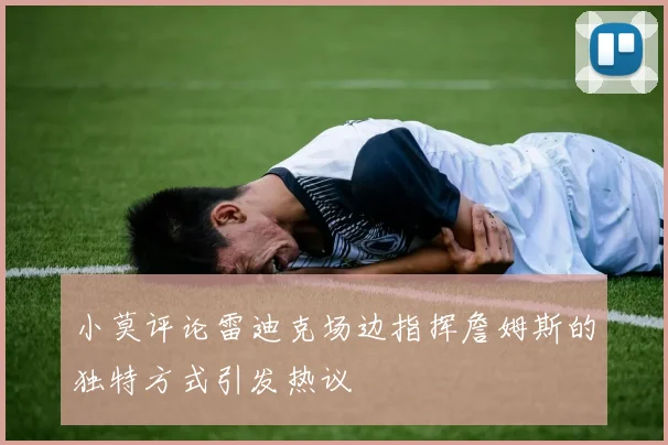 小莫评论雷迪克场边指挥詹姆斯的独特方式引发热议